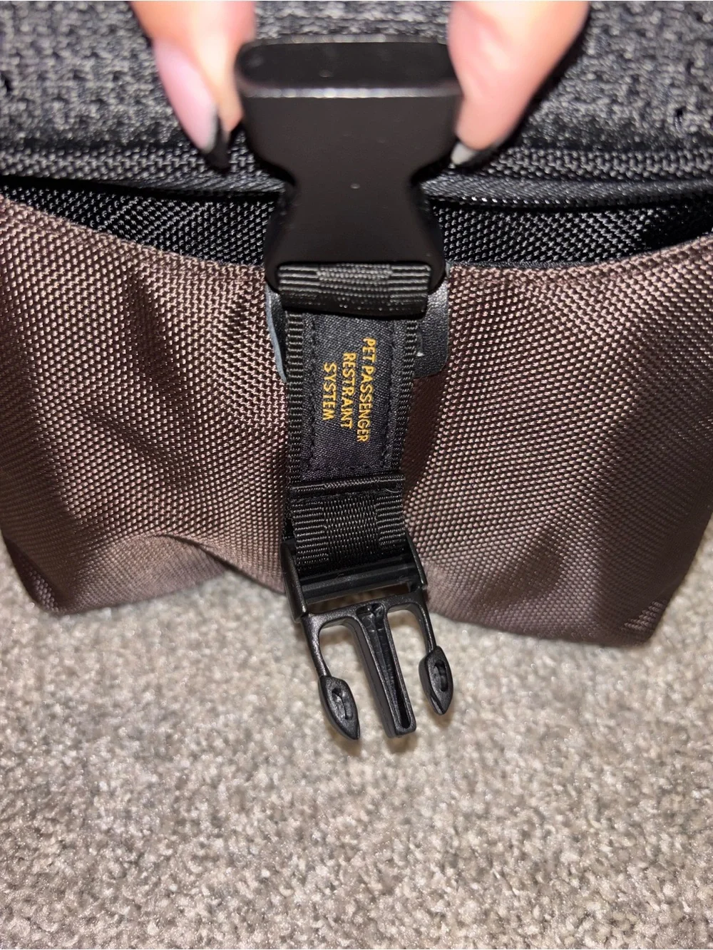 Sleepypod Atom Crash-Tested Cat/Dog Carrier | Airline Approved